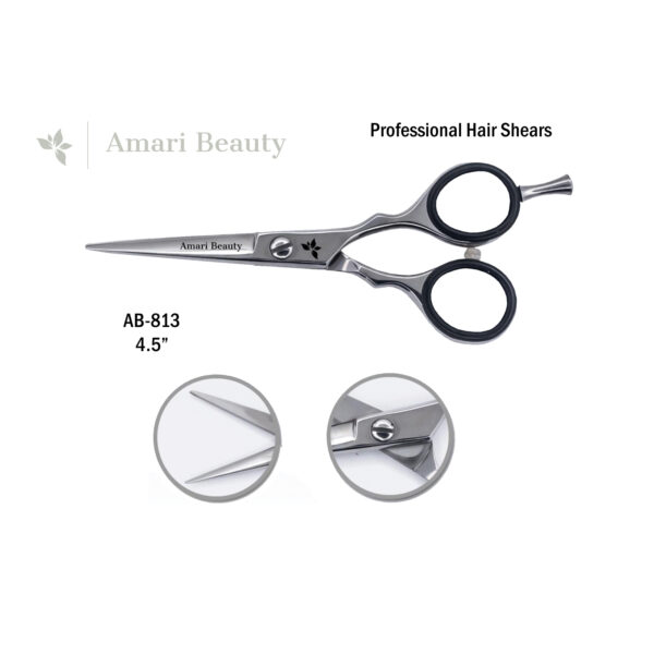 Professional Hair Shears